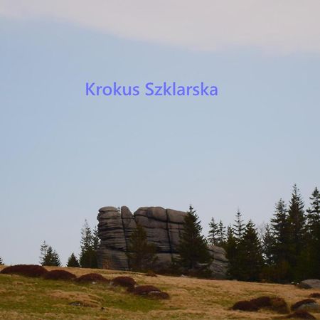 Apartament Krokus Szklarska Sklářská Poruba Exteriér fotografie